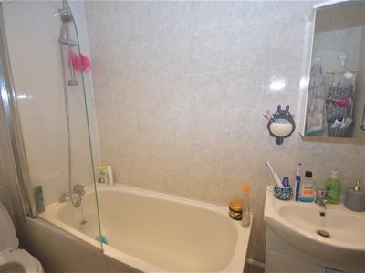 Picture 5